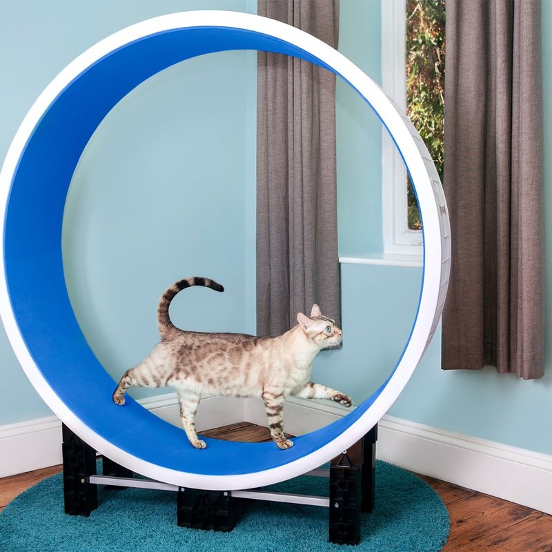 Ferris Katteløpehjul L