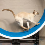 Ferris Katteløpehjul L