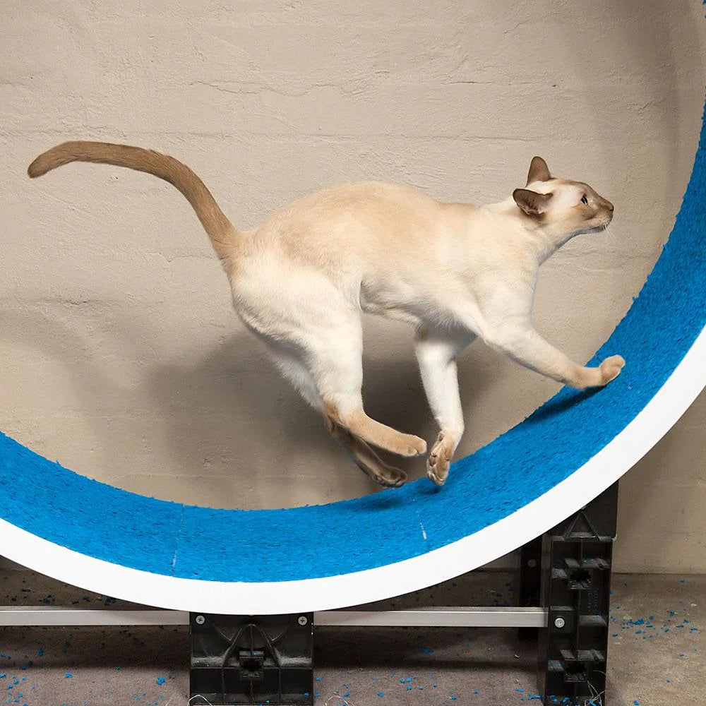 Ferris Katteløpehjul L