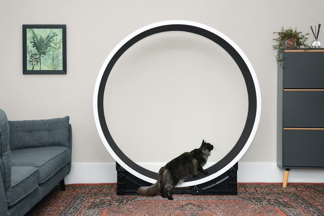 Ferris XL Katteløpehjul